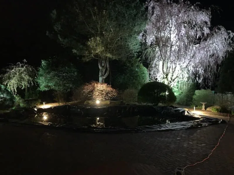 Landscape and deck lighting illuminating a backyard at night